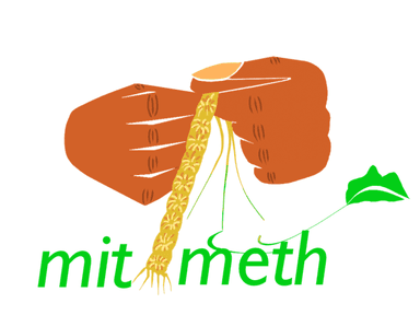 Mitimeth Logo